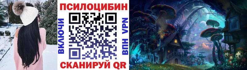 блэк спрут зеркало  Дорогобуж  Галлюциногенные грибы Psilocybine cubensis 